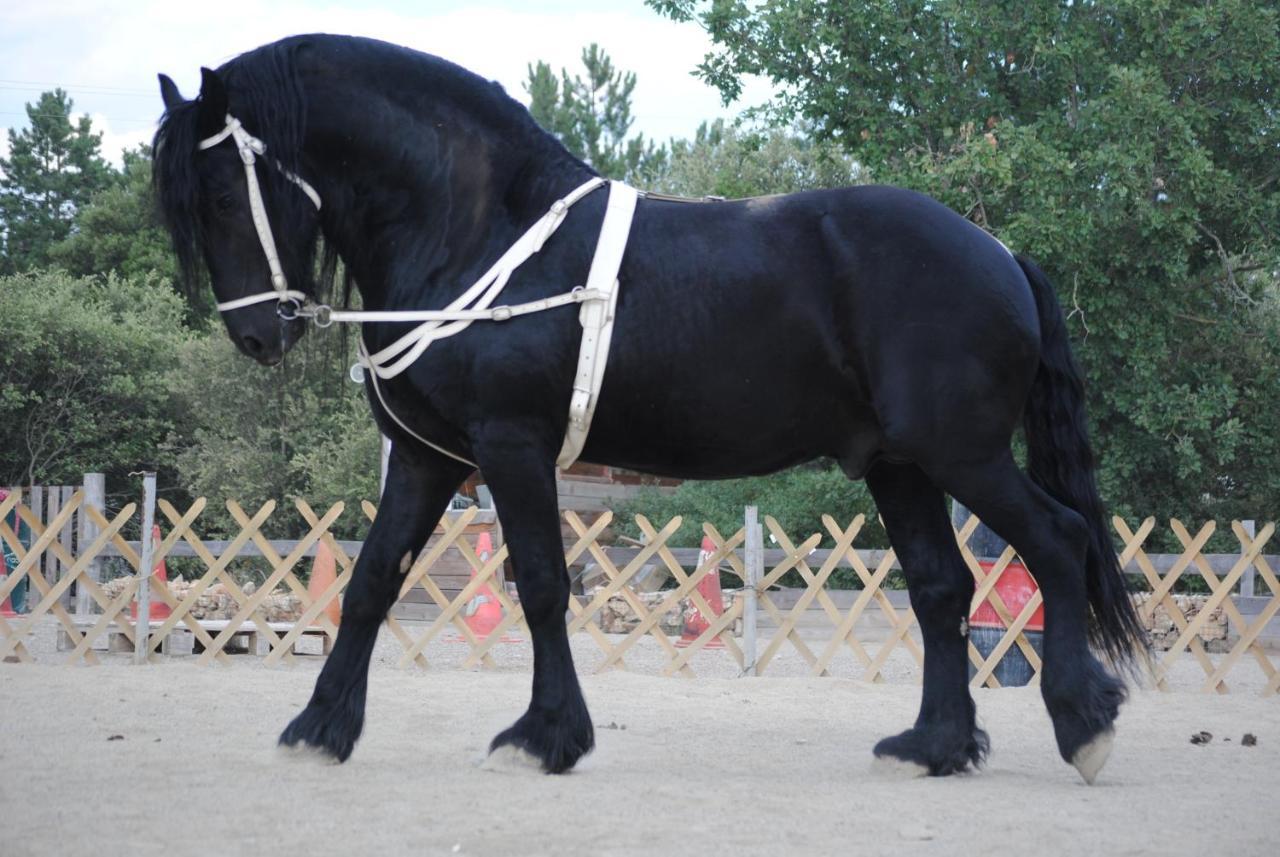 Les Gites Du Parc Animalier De Ginasservis Dış mekan fotoğraf
