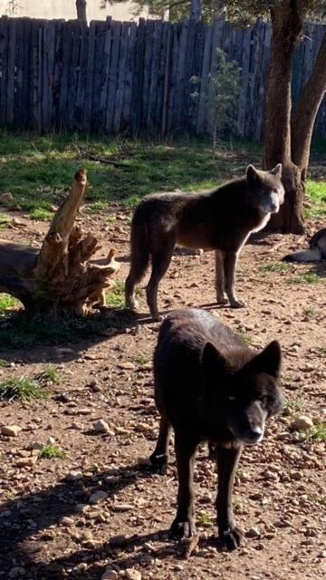 Les Gites Du Parc Animalier De Ginasservis Dış mekan fotoğraf